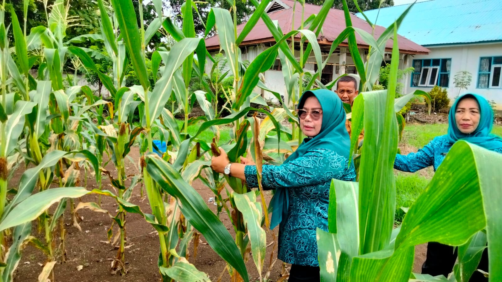 WhatsApp Image 2023 02 20 at 12.12.24