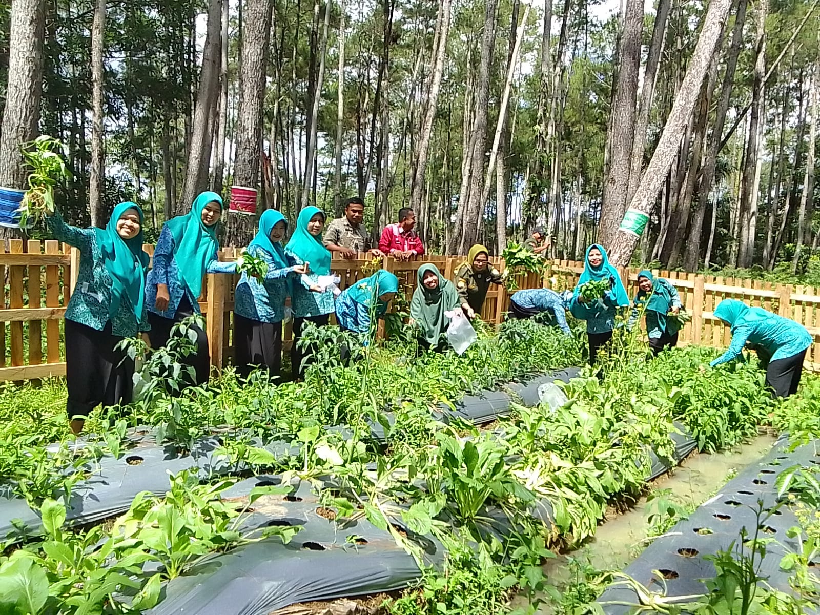 WhatsApp Image 2023 03 30 at 12.25.28