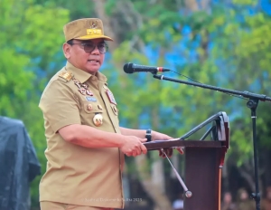 Pj Gubernur Sultra, Andap Budhi revianto