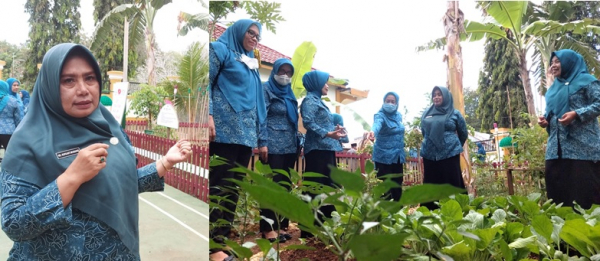 Ketua TP PKK Kota Baubau Wa Ode Nursanti Monianse (Kiri) bersama tim Supervisi dari TP PKK Provinsi Sultra (Kanan) saat meninjau kebun Dasa Wisma di Kelurahan Baadia Senin (29/8) (Foto:Bardin)